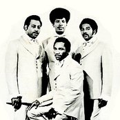 Hearts Of Stone - List pictures