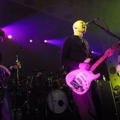 Zwan - List pictures