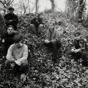 Secret Shine - List pictures