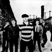 Pogues - List pictures