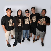 The Steppas - List pictures