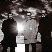 Doves - List pictures