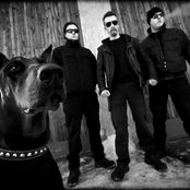 Raubtier - List pictures