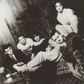 Sugarcubes - List pictures