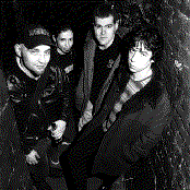 Murphy's Law - List pictures