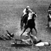 Honey Radar - List pictures