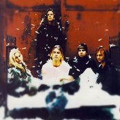 Phillip Boa - List pictures