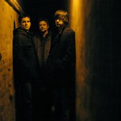 Calla - List pictures