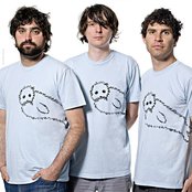 Animal Collective - List pictures