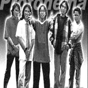 Protonema - List pictures