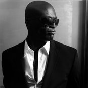 Seal - List pictures