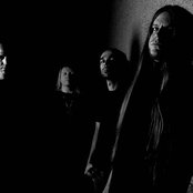 Nile - List pictures