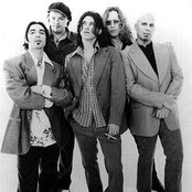 The Screamin' Cheetah Wheelies - List pictures