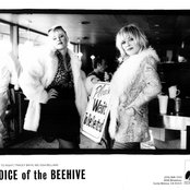 Voice Of The Beehive - List pictures