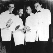 The Pastels - List pictures