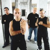 Endo - List pictures