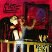 Dog Fashion Disco - List pictures