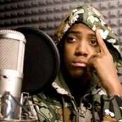 Chipmunk - List pictures