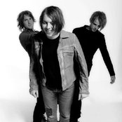 Vines - List pictures