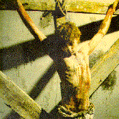 Foetus - List pictures