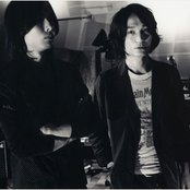 Does - List pictures