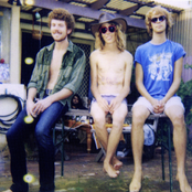 Pond - List pictures