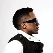 Q-tip - List pictures