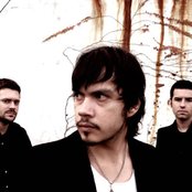 Calla - List pictures