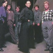 Toto - List pictures