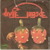 Divlje Jagode - List pictures