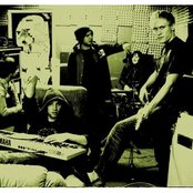 Buck - List pictures