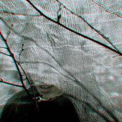 I Break Horses - List pictures