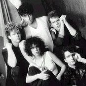 Face To Face - List pictures