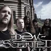 Dew-scented - List pictures