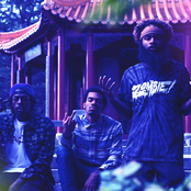 Flatbush Zombies - List pictures