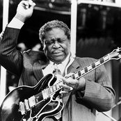 B.b. King - List pictures