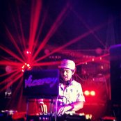 Viceroy - List pictures