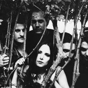 Siegfried - List pictures