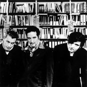 Die Ärzte - List pictures