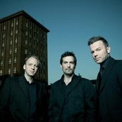 Camouflage - List pictures