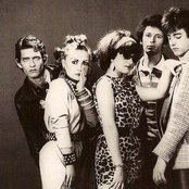 Alaska Y Los Pegamoides - List pictures