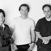 Thalia Zedek - List pictures