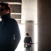 Night Drive - List pictures