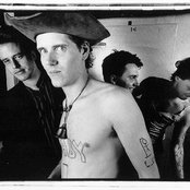 The Cows - List pictures