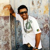 Shaggy - List pictures