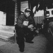 King T - List pictures