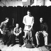 Dog Eat Dog - List pictures