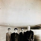 Plankeye - List pictures