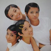 Feminin - List pictures