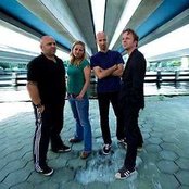 Kong - List pictures